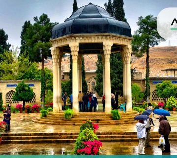 طراحی سایت در شیراز